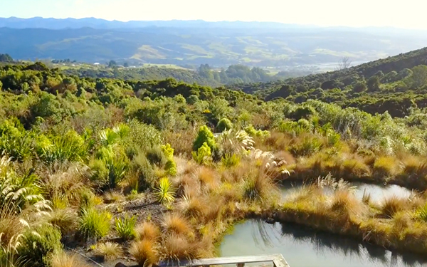 otago polytechnical - new zealand trip with female student