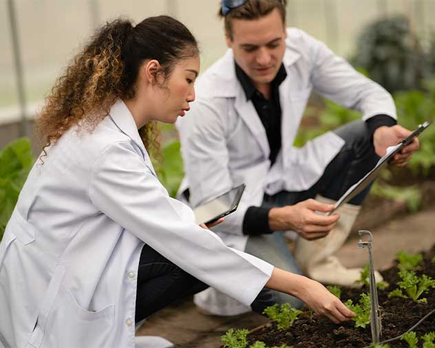 Two people working with soil