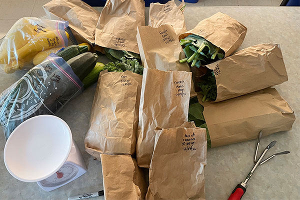 Vegetables on a table in brown bags