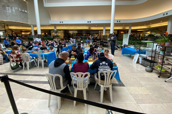 People sitting for a presentation