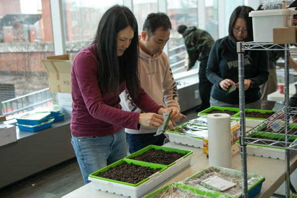 Person planting seeds