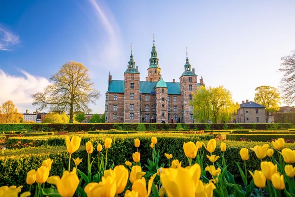 Buildings beyond field of tulips